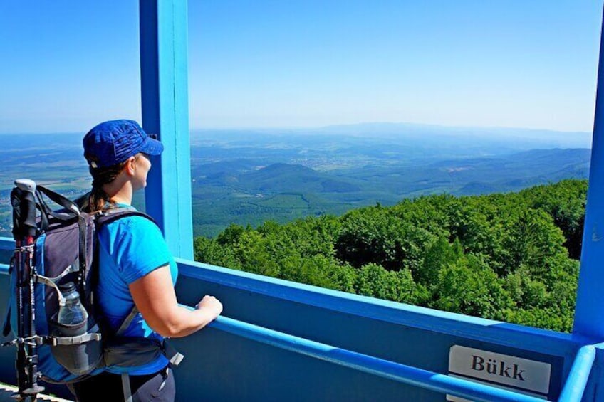 enjoying the panorama