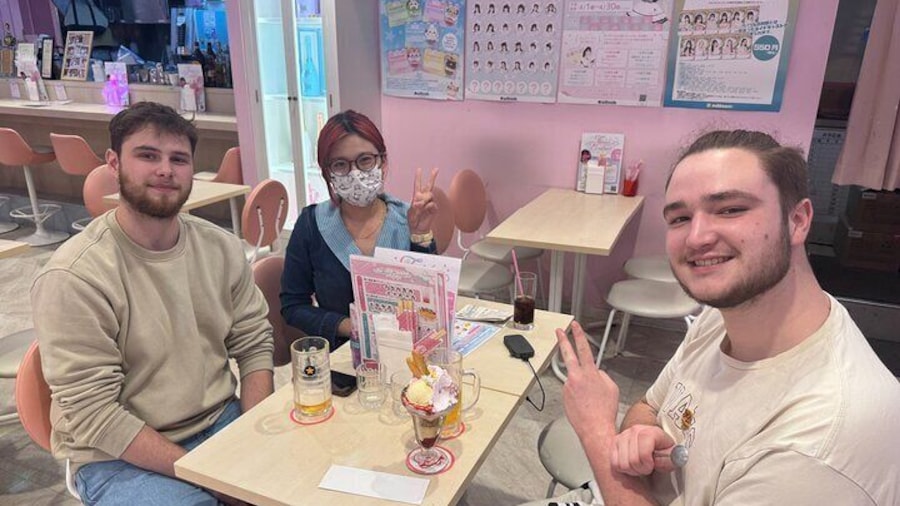 Akihabara Anime and Gaming Tour with Maid Cafe Experience