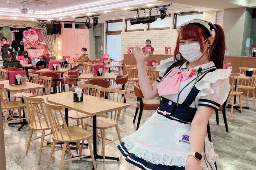 Akihabara Anime and Gaming Tour with Maid Cafe Experience