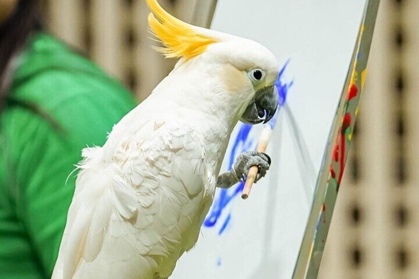Creek Park Exotic Bird Show