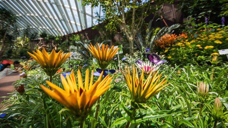 Floral Gardens by the Bay