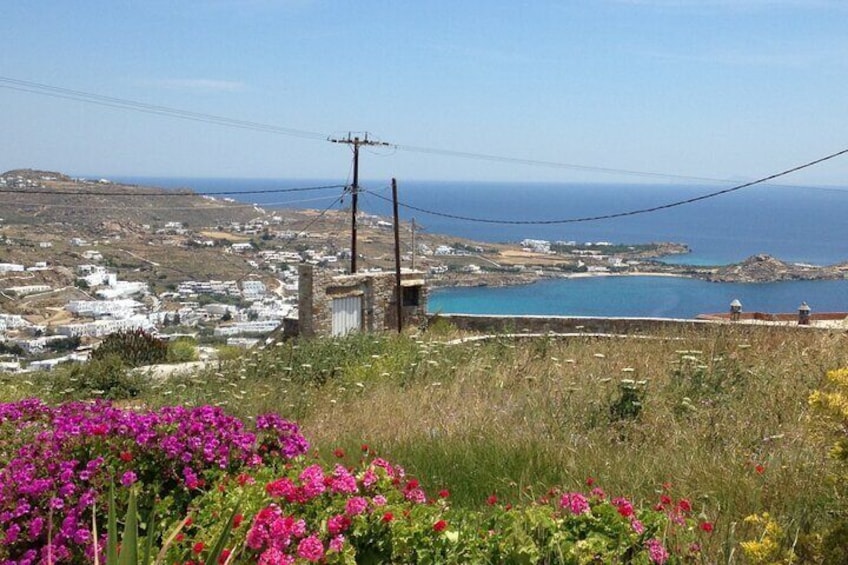 Private Tour: The Best of Mykonos (no walking)