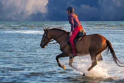 Casablanca Beach Horseback Riding Experience with Hotel Transfers