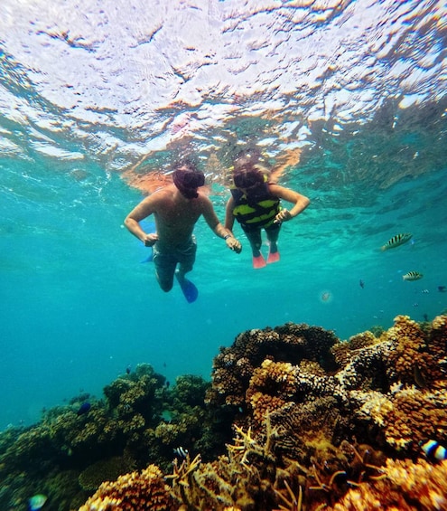 Ride & Slide by South Sea Cats - Half Day Snorkelling Trip