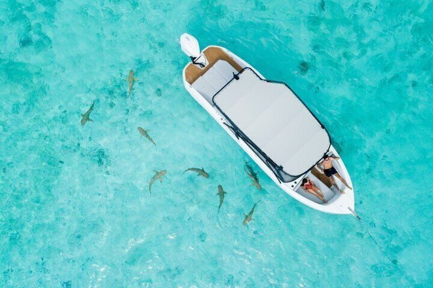 Bora Bora Luxury Private Sunset Cruise