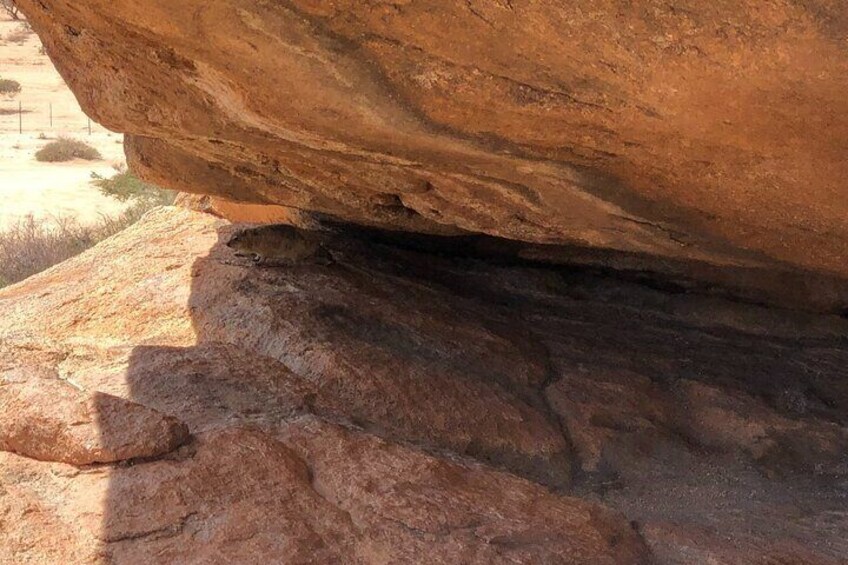 2 Days Spitzkoppe Budget Guided