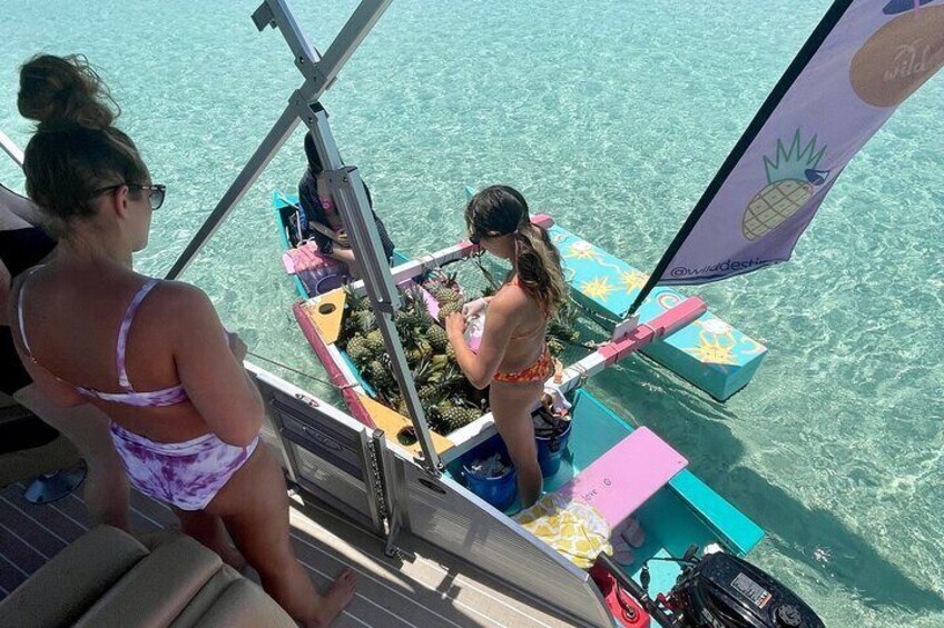 Private Crab Island Pontoon Charter 
