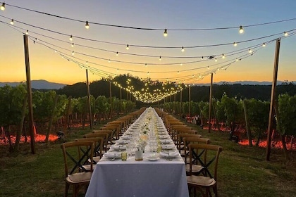 Farm To table Experience on an organic hilltop estate in Tuscany