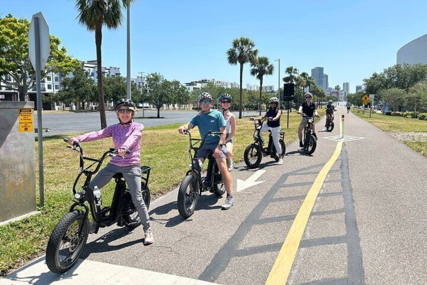 Electric Bike Guided City & Mural Tour