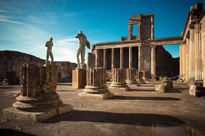 Private Tour From Rome To Pompeii Excavations History Volcanoes And Wine