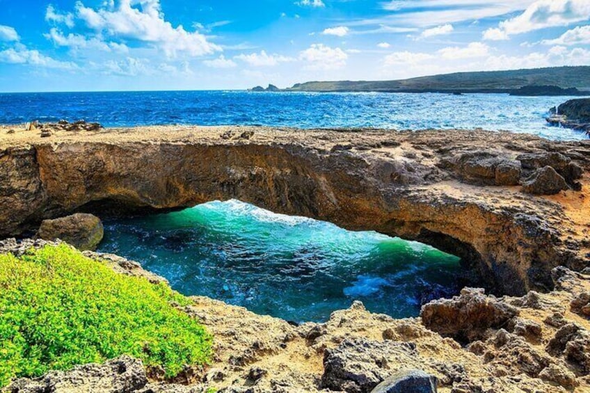 Explore Aruba Bus Tour and Waterpark Adventure
