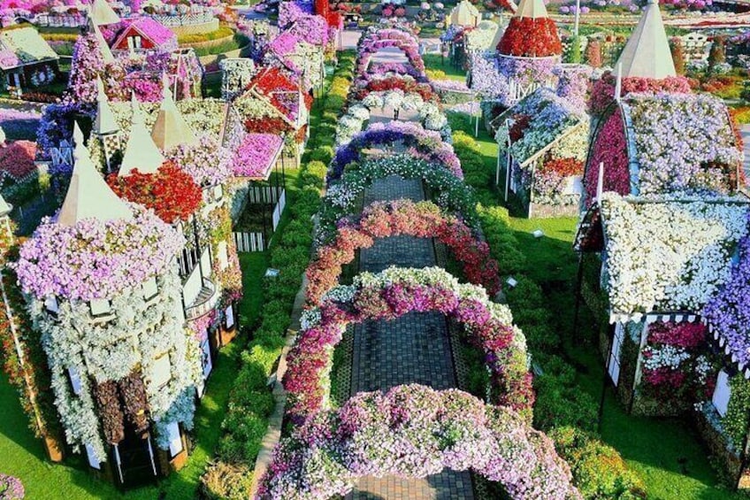 Miracle Garden and Global Village Ticket in Dubai with Transfer