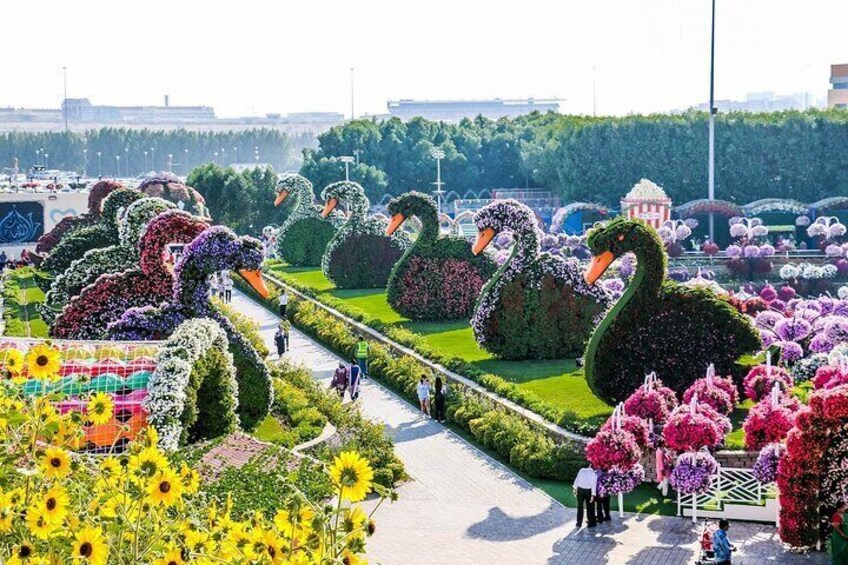 Miracle Garden and Global Village Ticket in Dubai with Transfer