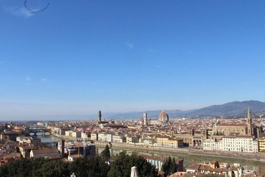 Private Minivan Tour in Livorno to Florence and Pisa