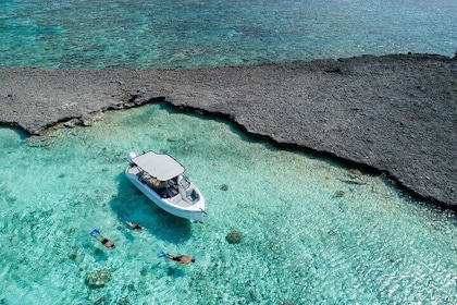 Private 4 Hours Reef Discovery Luxury Private Treasure Hunt in Bora Bora