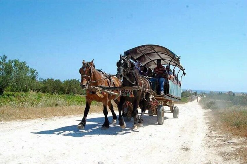 Comingl Caravan in Sousse