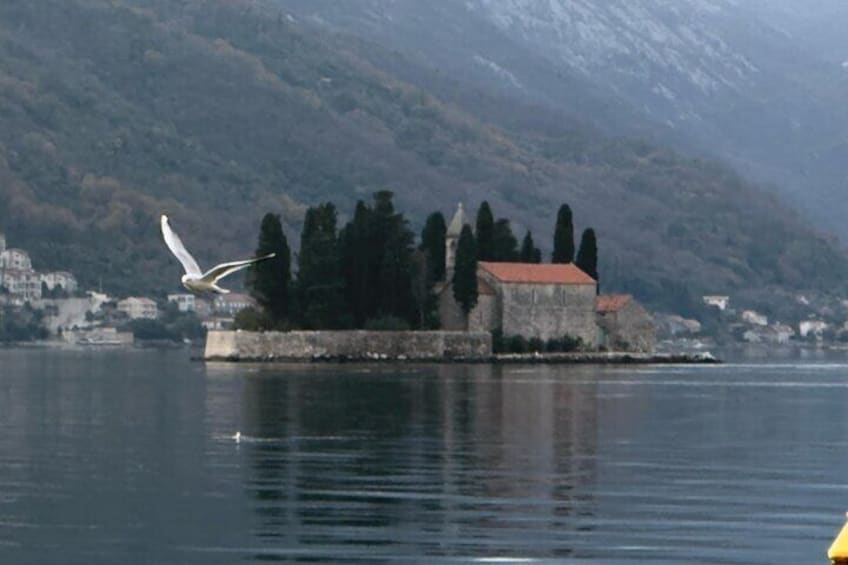 E Tuk Tuk Montenegrowaves