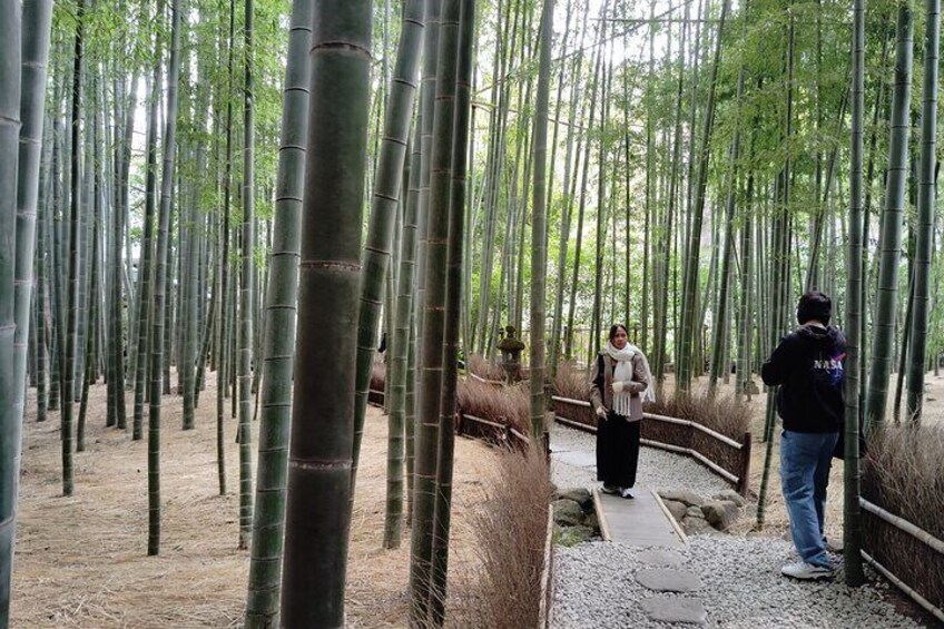 Kamakura Hidden Gems and Sacred Sites Private Tour