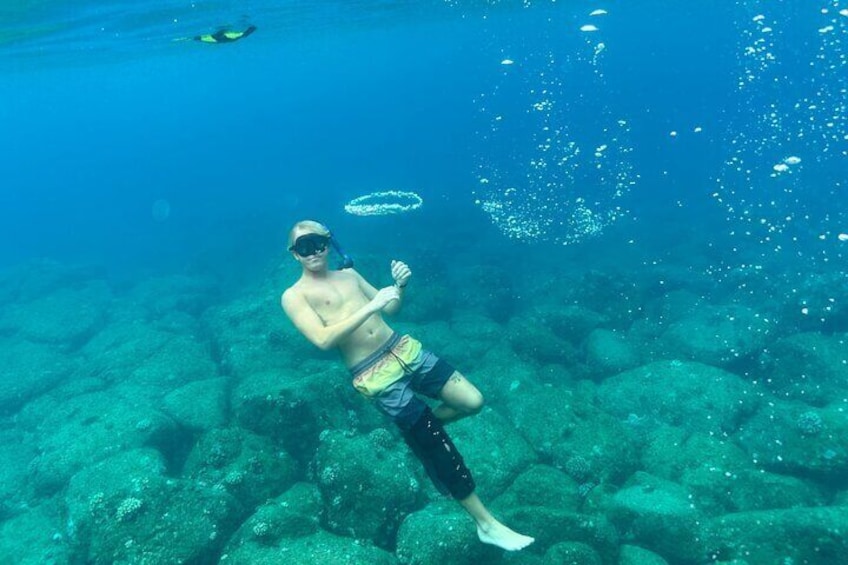 Private Snorkeling Experience in Haleiwa Oahu