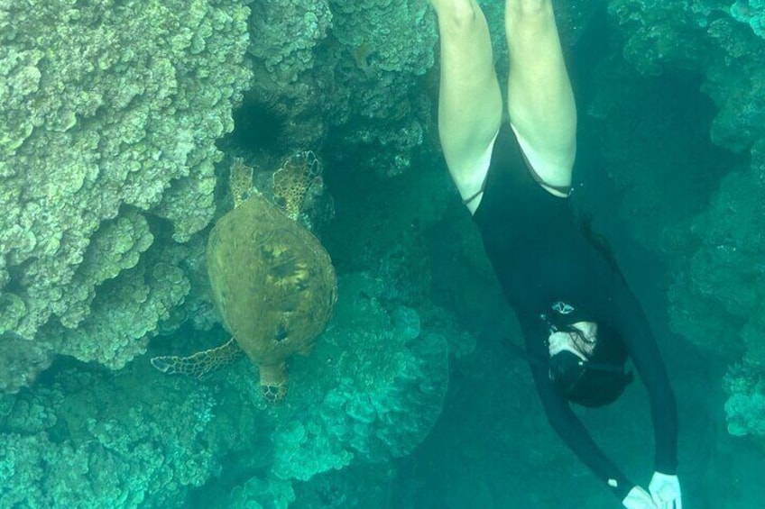 Private Snorkeling Experience in Haleiwa Oahu