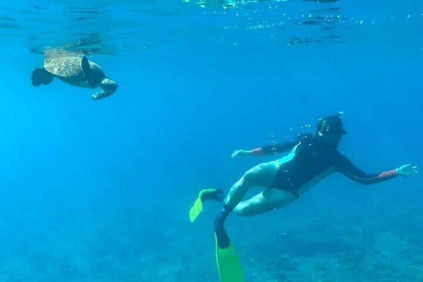 Snorkel with Turtles in Haleiwa on Finnatic