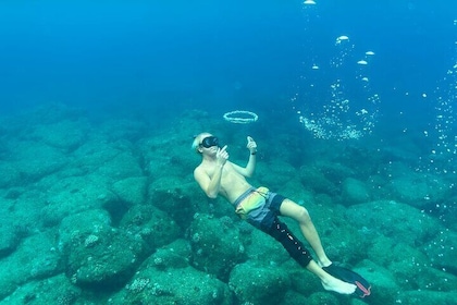 Snorkel with Turtles in Haleiwa on Finnatic