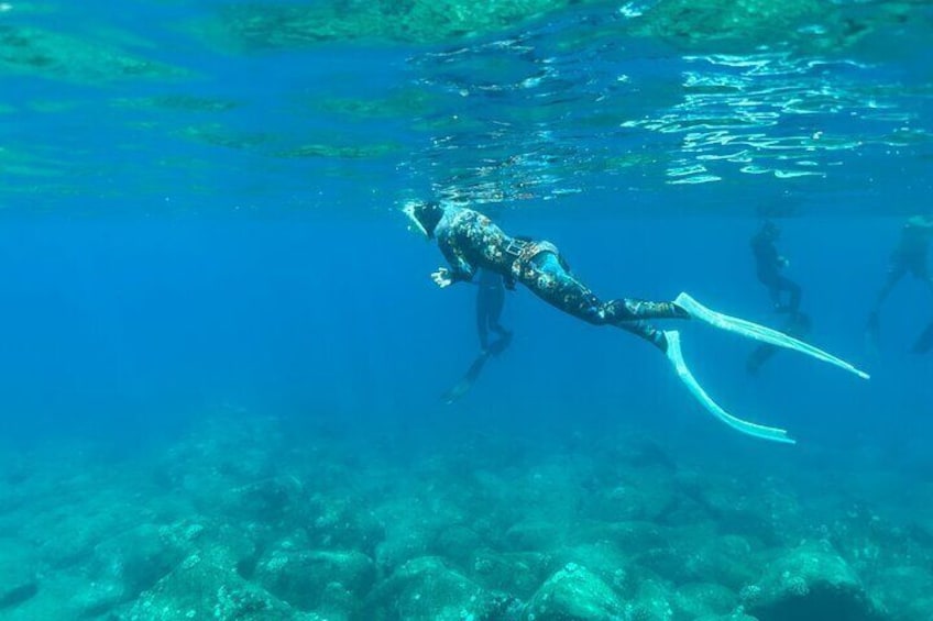 Snorkel with Turtles in Haleiwa on Finnatic