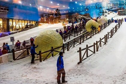 Classic Snow Park Fun
