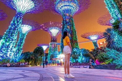 Spectra & Garden Rhapsody night Shows and Singapore River Cruise