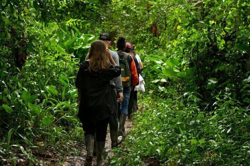 Explore Phuket Landmarks Private Tour with Rainforest Hike 