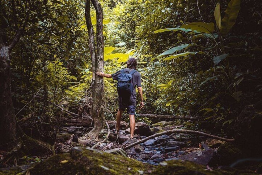 Explore Phuket Landmarks Private Tour with Rainforest Hike 