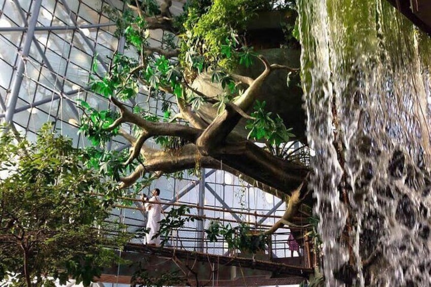 Green Planet Adventure