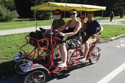 San Francisco: Scenic Surrey Ride Through Golden Gate Park