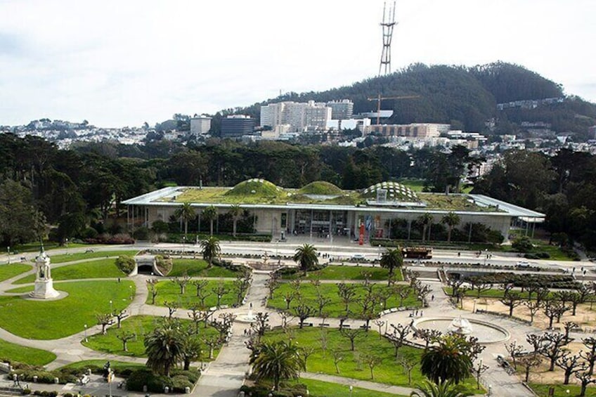 The Secrets of Golden Gate Park: A Self-Guided Walking Tour