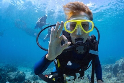 Halfday Snorkelling and Scuba Diving Experience from Nha Trang