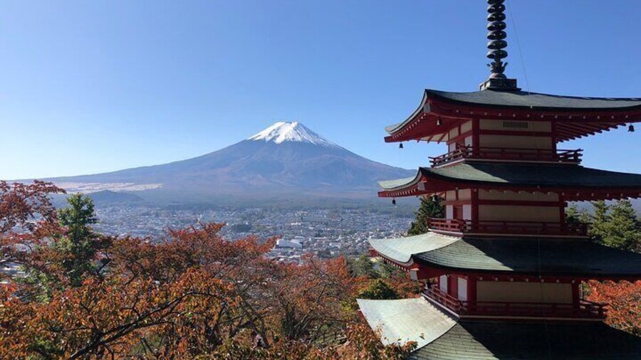 Mount Fuji Panoramic View and Shopping Day Tour from Shinjuku