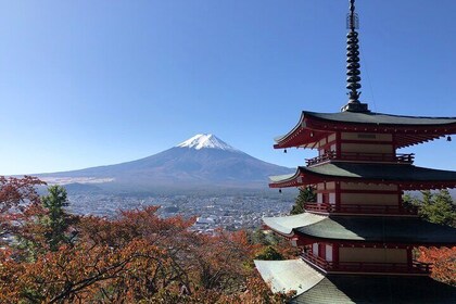 Mount Fuji Panoramic View and Shopping Day Tour from Shinjuku