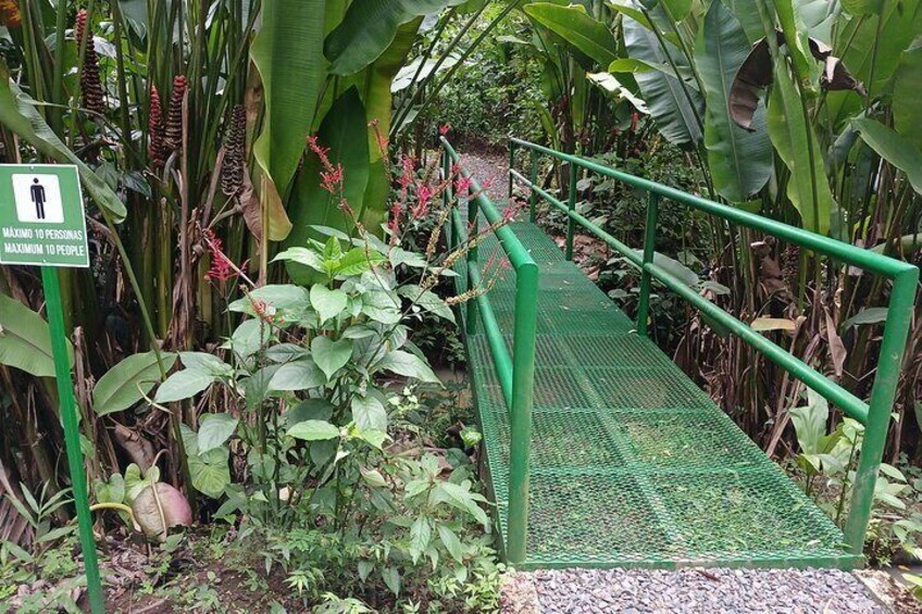 One of the bridges of ANURA, where you can see the trail
