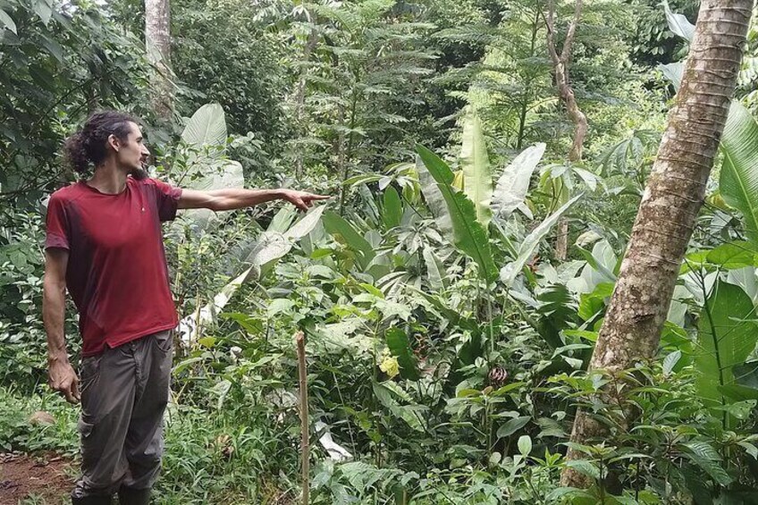Biologist Alberto pointing out the location of an animal
