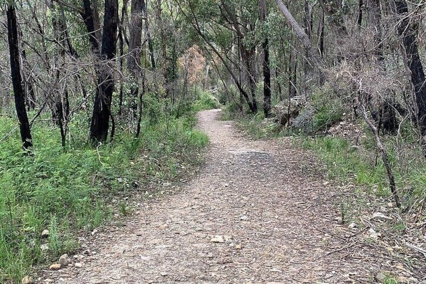 Self Guided Electric Bicycle Tour of Bundanoon