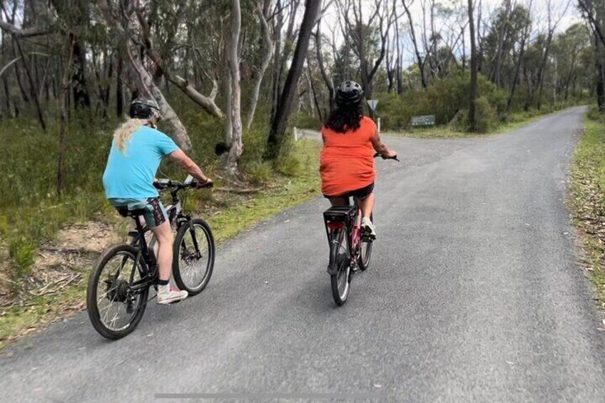 Self Guided Electric Bicycle Tour of Bundanoon