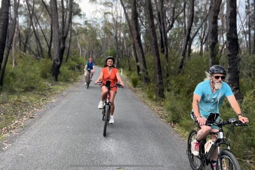 Self Guided Electric Bicycle Tour of Bundanoon