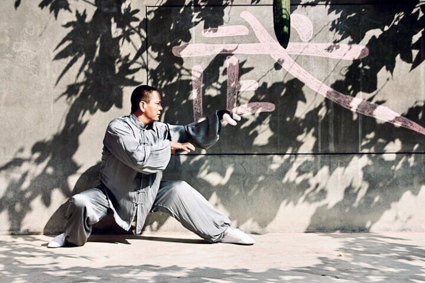 Kungfu Class and Bicycling on Xi'an City Wall