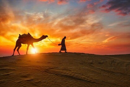 Puesta de sol en el desierto de Ksar Ghilane y Tataouine en 1 día