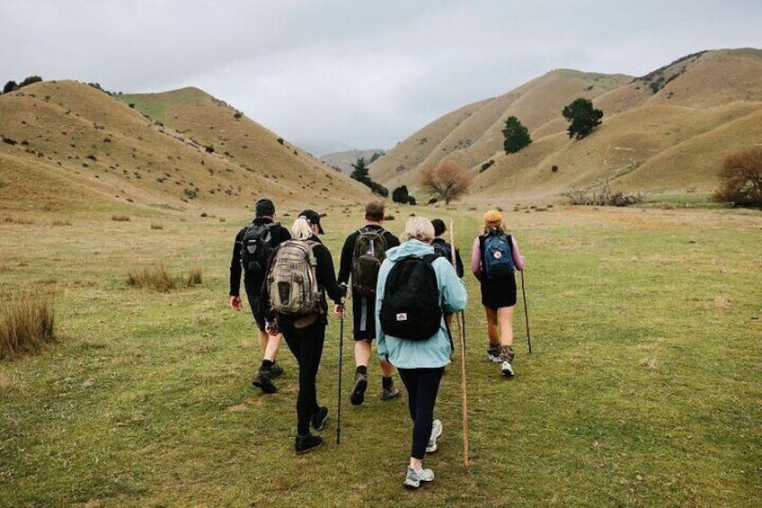 Bespoke Guided High Country Hiking