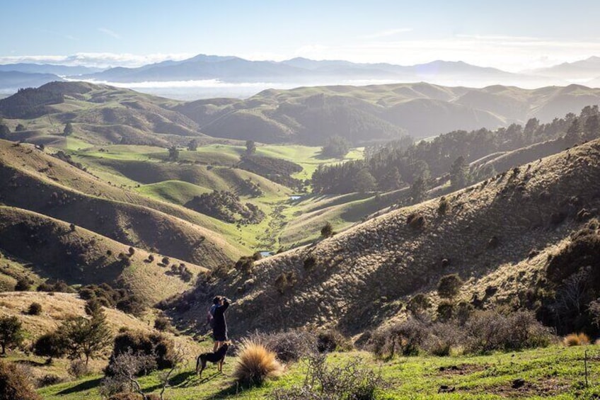 Bespoke Guided High Country Hiking