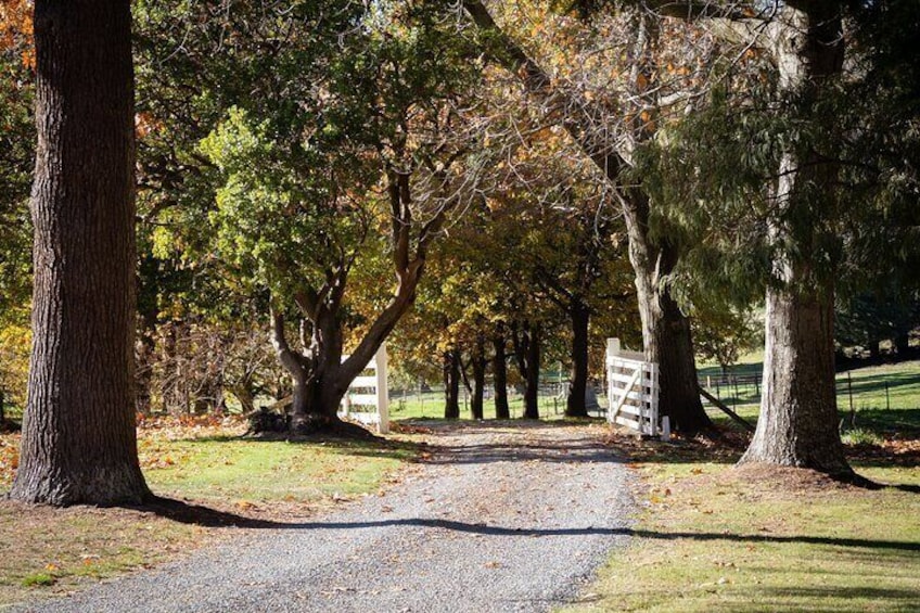 Bespoke Guided High Country Hiking