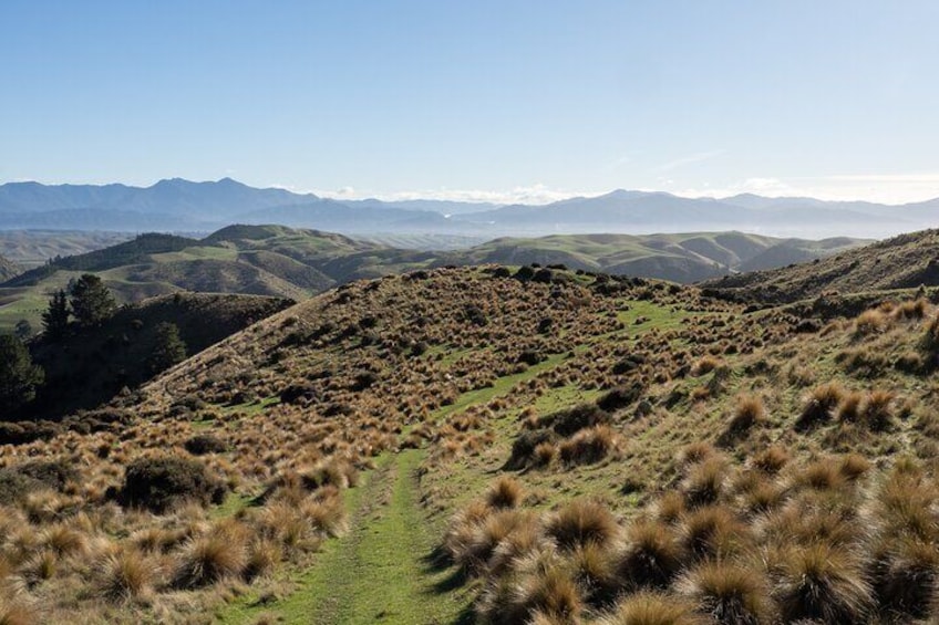 Bespoke Guided High Country Hiking