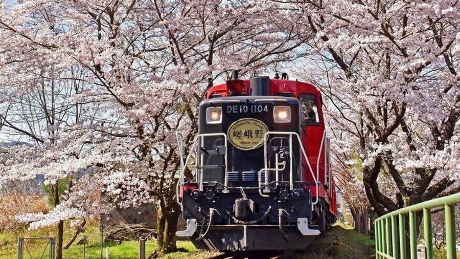 Arashiyama Sagano Romantic Train,Fushimi Inari Taisha & Nara Park