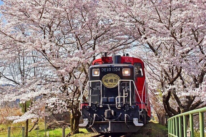 Arashiyama Sagano Romantic Train，Fushimi Inari Taisha & Nara Park